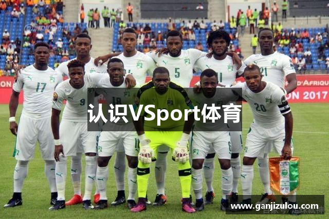 认识VSport体育